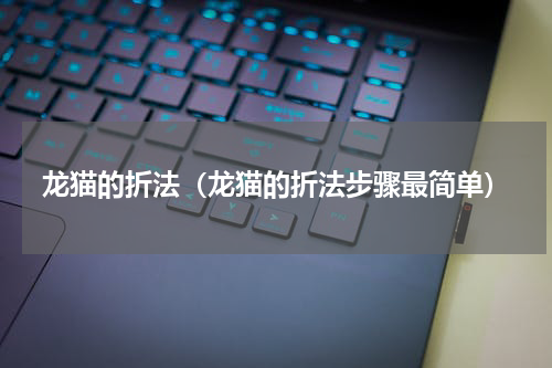 龙猫的折法（龙猫的折法步骤最简单）