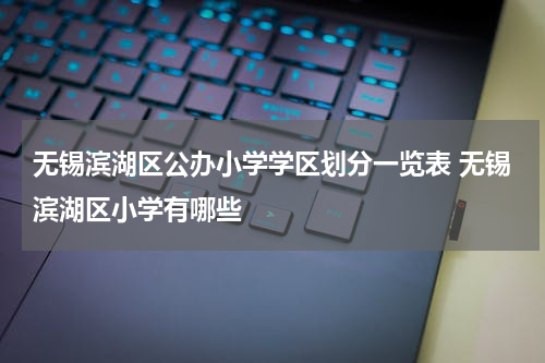 无锡滨湖区公办小学学区划分一览表 无锡滨湖区小学有哪些