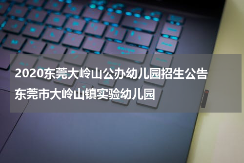 2020东莞大岭山公办幼儿园招生公告 东莞市大岭山镇实验幼儿园