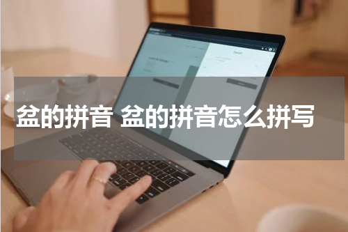 盆的拼音 盆的拼音怎么拼写
