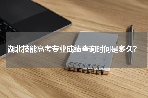 湖北技能高考专业成绩查询时间是多久？