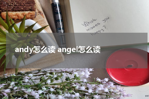 andy怎么读 angel怎么读