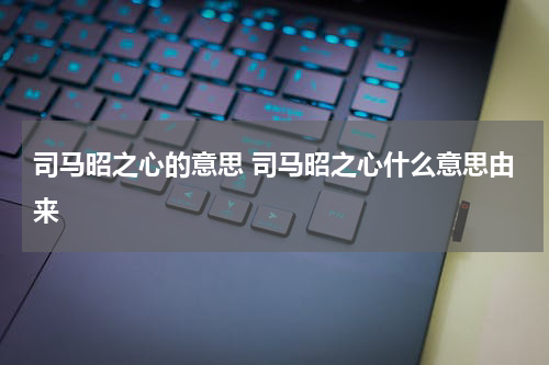 司马昭之心的意思 司马昭之心什么意思由来
