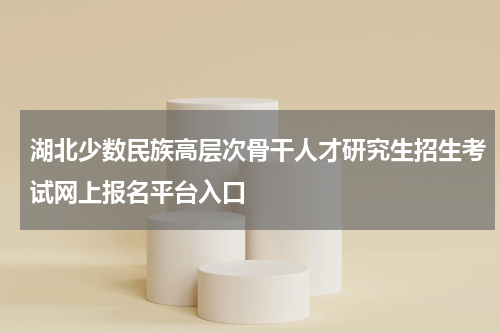 湖北少数民族高层次骨干人才研究生招生考试网上报名平台入口