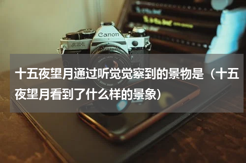十五夜望月通过听觉觉察到的景物是（十五夜望月看到了什么样的景象）