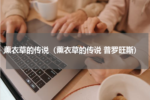 薰衣草的传说（薰衣草的传说 普罗旺斯）