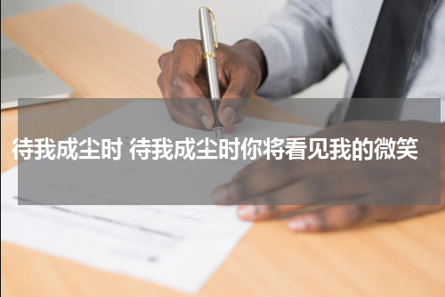 待我成尘时 待我成尘时你将看见我的微笑