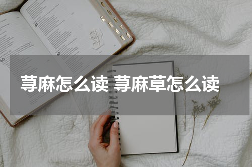 荨麻怎么读 荨麻草怎么读