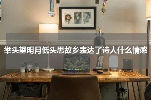 举头望明月低头思故乡表达了诗人什么情感