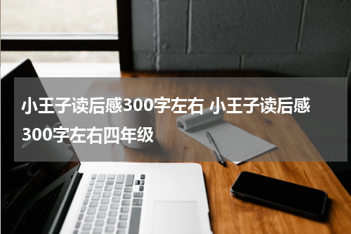 小王子读后感300字左右 小王子读后感300字左右四年级