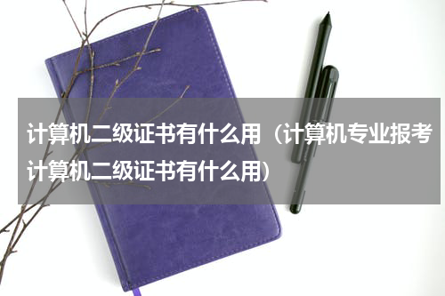 计算机二级证书有什么用（计算机专业报考计算机二级证书有什么用）