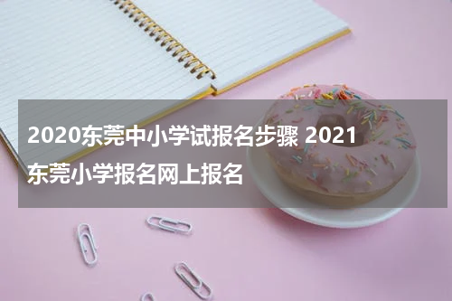 2020东莞中小学试报名步骤 2021东莞小学报名网上报名