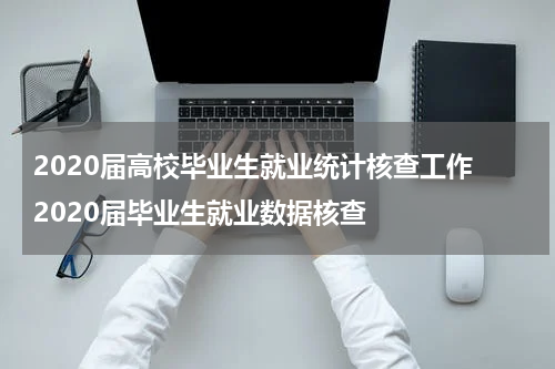 2020届高校毕业生就业统计核查工作 2020届毕业生就业数据核查
