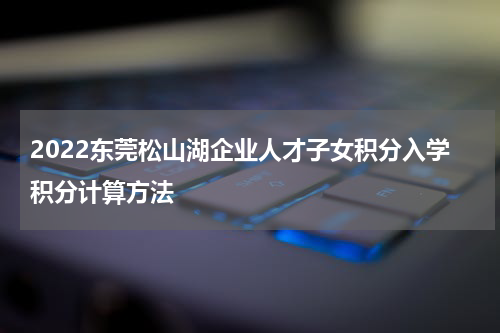 2022东莞松山湖企业人才子女积分入学积分计算方法