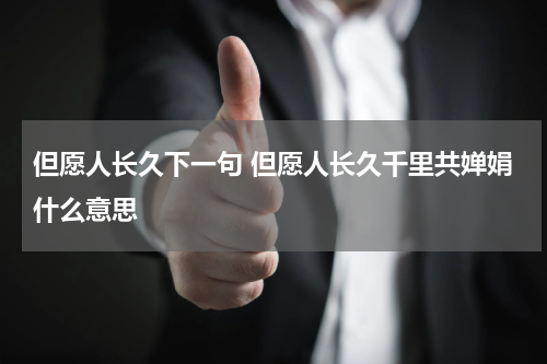 但愿人长久下一句 但愿人长久千里共婵娟什么意思