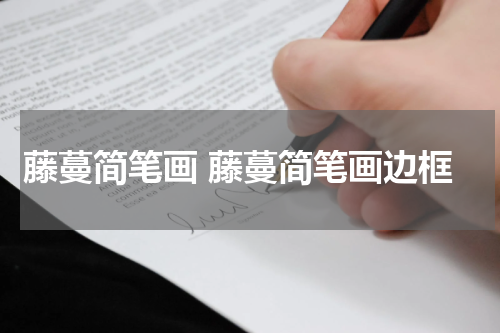 藤蔓简笔画 藤蔓简笔画边框