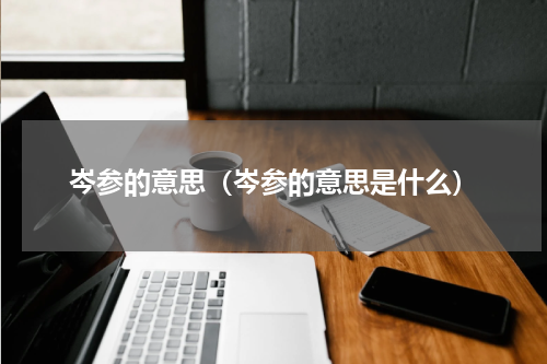 岑参的意思（岑参的意思是什么）