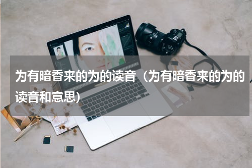 为有暗香来的为的读音（为有暗香来的为的读音和意思）