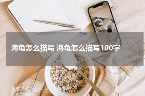 海龟怎么描写 海龟怎么描写100字