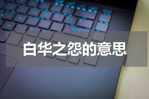 白华之怨的意思
