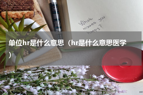 单位hr是什么意思（hr是什么意思医学）