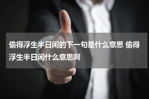 偷得浮生半日闲的下一句是什么意思 偷得浮生半日闲什么意思啊