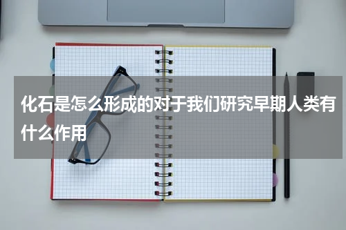 化石是怎么形成的对于我们研究早期人类有什么作用