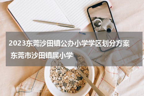 2023东莞沙田镇公办小学学区划分方案 东莞市沙田镇属小学