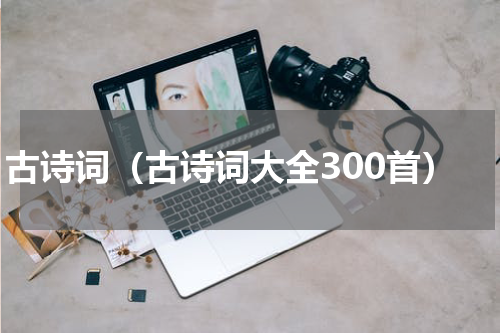 古诗词（古诗词大全300首）