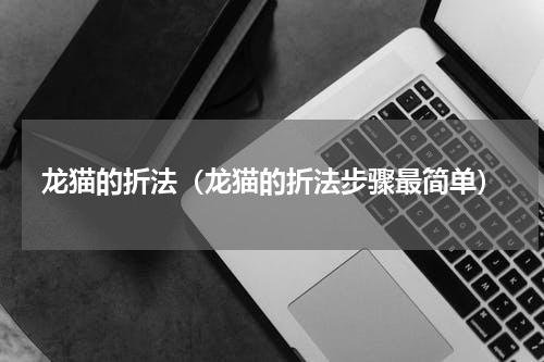 龙猫的折法（龙猫的折法步骤最简单）
