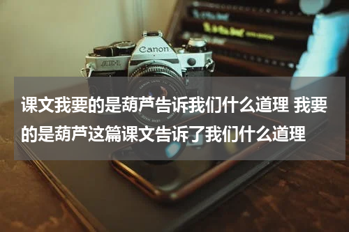 课文我要的是葫芦告诉我们什么道理 我要的是葫芦这篇课文告诉了我们什么道理