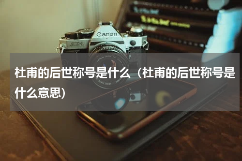 杜甫的后世称号是什么（杜甫的后世称号是什么意思）