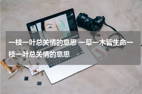 一枝一叶总关情的意思 一草一木皆生命一枝一叶总关情的意思