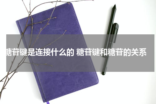 糖苷键是连接什么的 糖苷键和糖苷的关系
