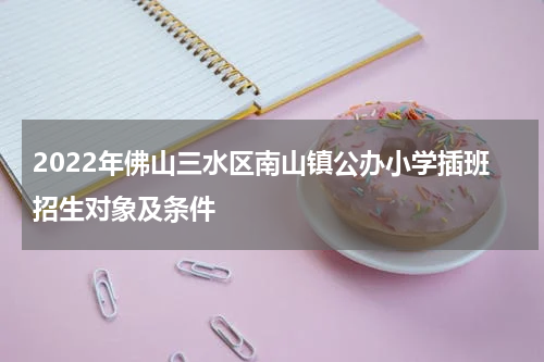 2022年佛山三水区南山镇公办小学插班招生对象及条件
