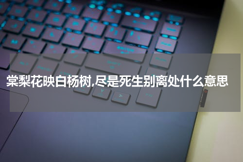 棠梨花映白杨树,尽是死生别离处什么意思
