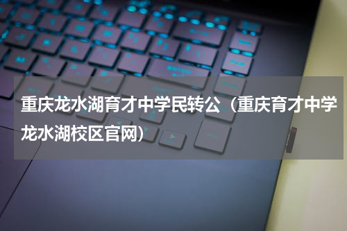重庆龙水湖育才中学民转公（重庆育才中学龙水湖校区官网）