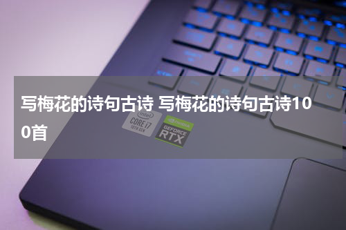 写梅花的诗句古诗 写梅花的诗句古诗100首