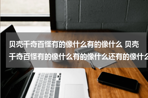 贝壳千奇百怪有的像什么有的像什么 贝壳千奇百怪有的像什么有的像什么还有的像什么