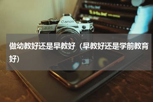 做幼教好还是早教好（早教好还是学前教育好）