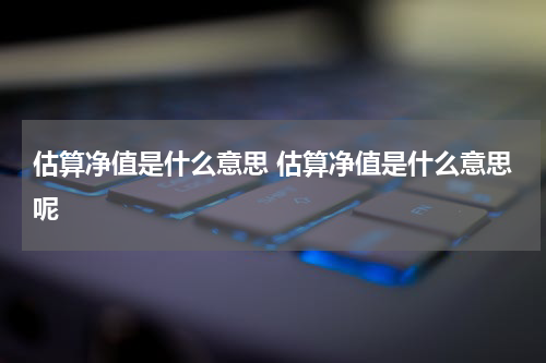 估算净值是什么意思 估算净值是什么意思呢