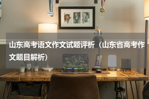 山东高考语文作文试题评析（山东省高考作文题目解析）