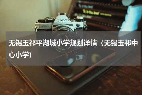 无锡玉祁平湖城小学规划详情（无锡玉祁中心小学）