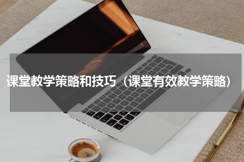 课堂教学策略和技巧（课堂有效教学策略）