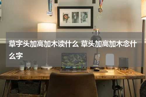 草字头加高加木读什么 草头加高加木念什么字