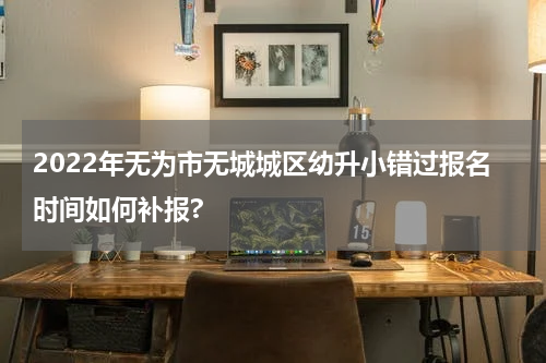 2022年无为市无城城区幼升小错过报名时间如何补报?