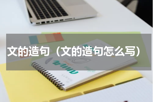 文的造句（文的造句怎么写）