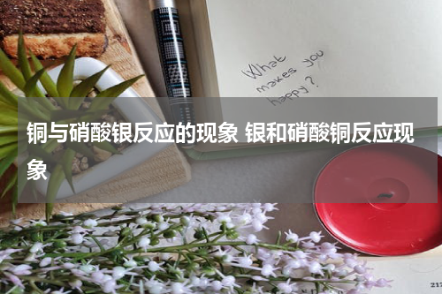 铜与硝酸银反应的现象 银和硝酸铜反应现象