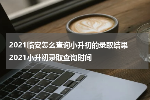 2021临安怎么查询小升初的录取结果 2021小升初录取查询时间
