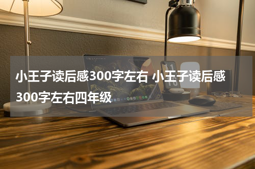 小王子读后感300字左右 小王子读后感300字左右四年级